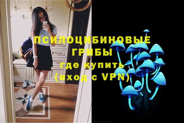 mdpv Богородицк