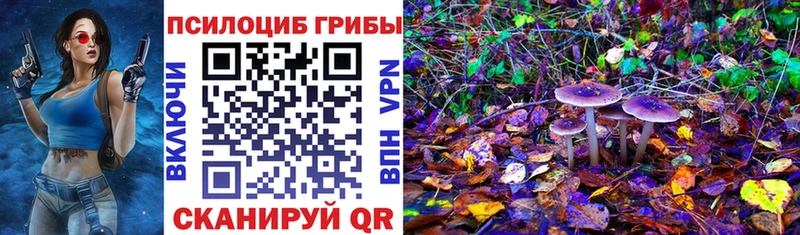 Галлюциногенные грибы GOLDEN TEACHER  Велиж 